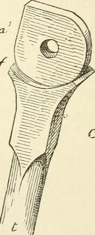 An illustration from Histoire d'un dessinateur, comment on apprend à dessiner;, 1879, leaf 141