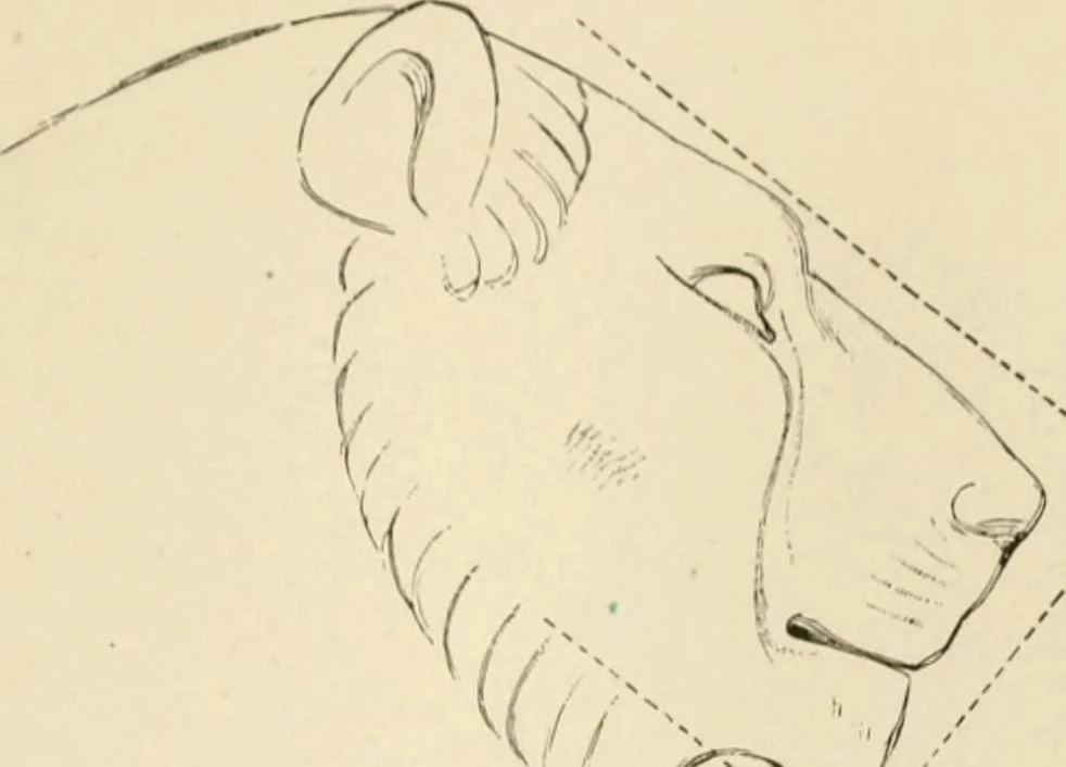 An illustration from Histoire d'un dessinateur, comment on apprend à dessiner;, 1879, leaf 218