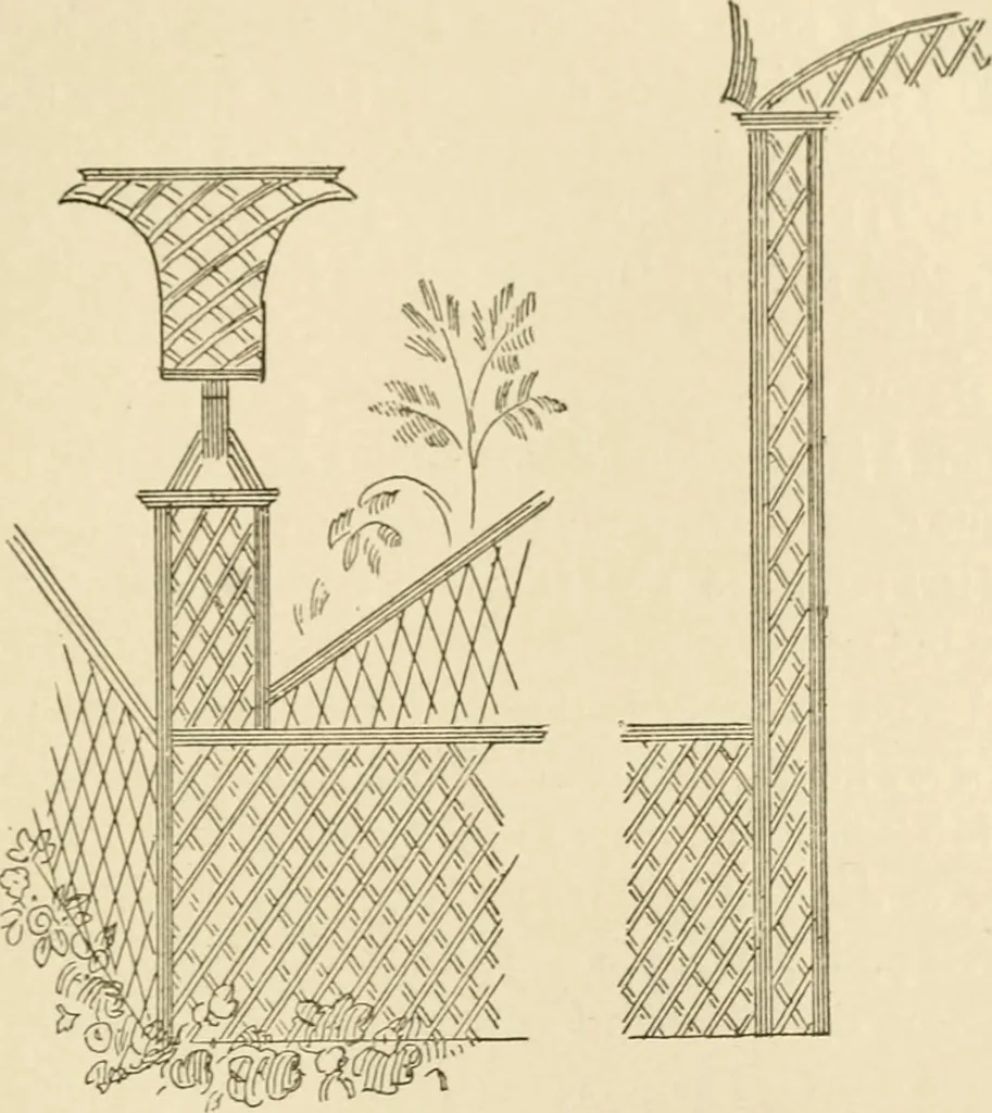 An illustration from Histoire d'un dessinateur, comment on apprend à dessiner;, 1879, leaf 258