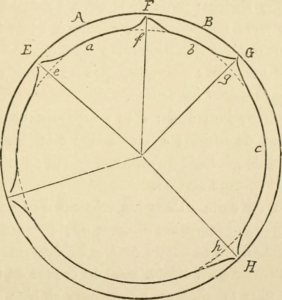 An illustration from Histoire d'un dessinateur, comment on apprend à dessiner;, 1879, leaf 280
