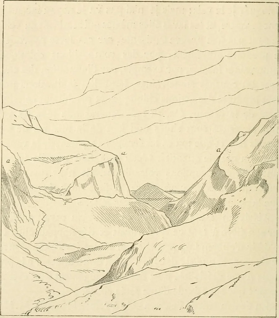 An illustration from Histoire d'un dessinateur, comment on apprend à dessiner;, 1879, leaf 283