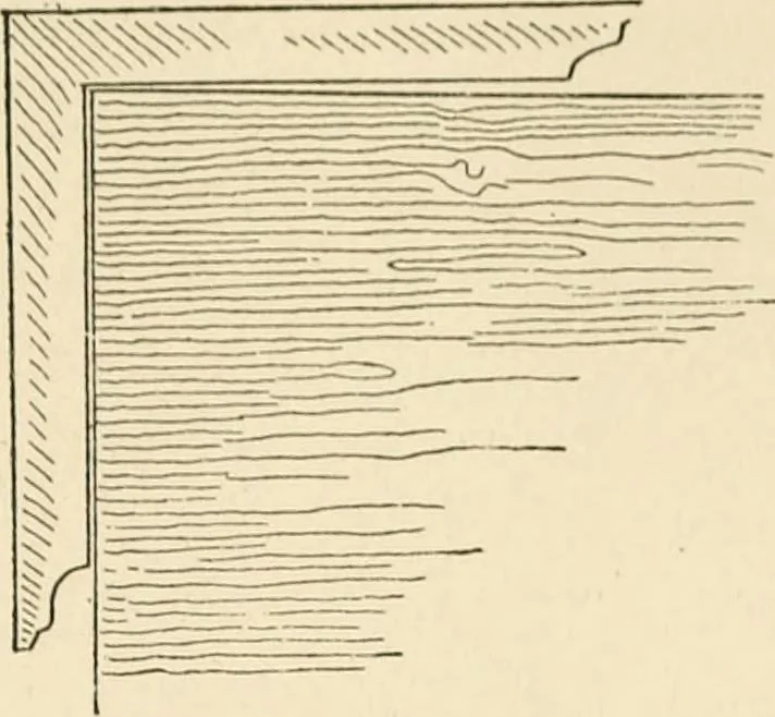 An illustration from Histoire d'un dessinateur, comment on apprend à dessiner;, 1879, leaf 32