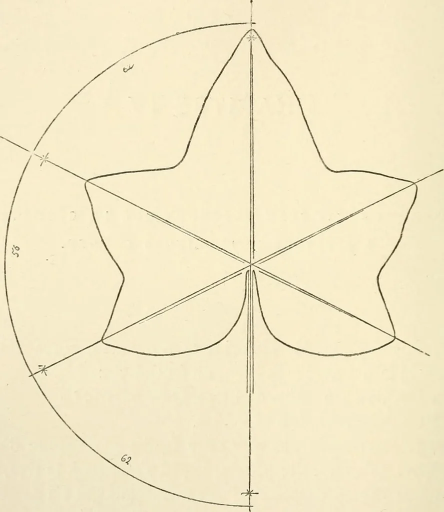 An illustration from Histoire d'un dessinateur, comment on apprend à dessiner;, 1879, leaf 37
