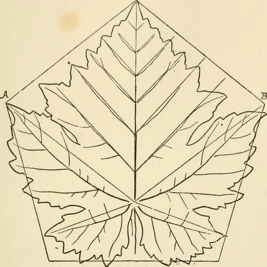 An illustration from Histoire d'un dessinateur, comment on apprend à dessiner;, 1879, leaf 40