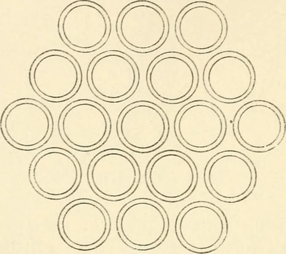 An illustration from Histoire d'un dessinateur, comment on apprend à dessiner;, 1879, leaf 43