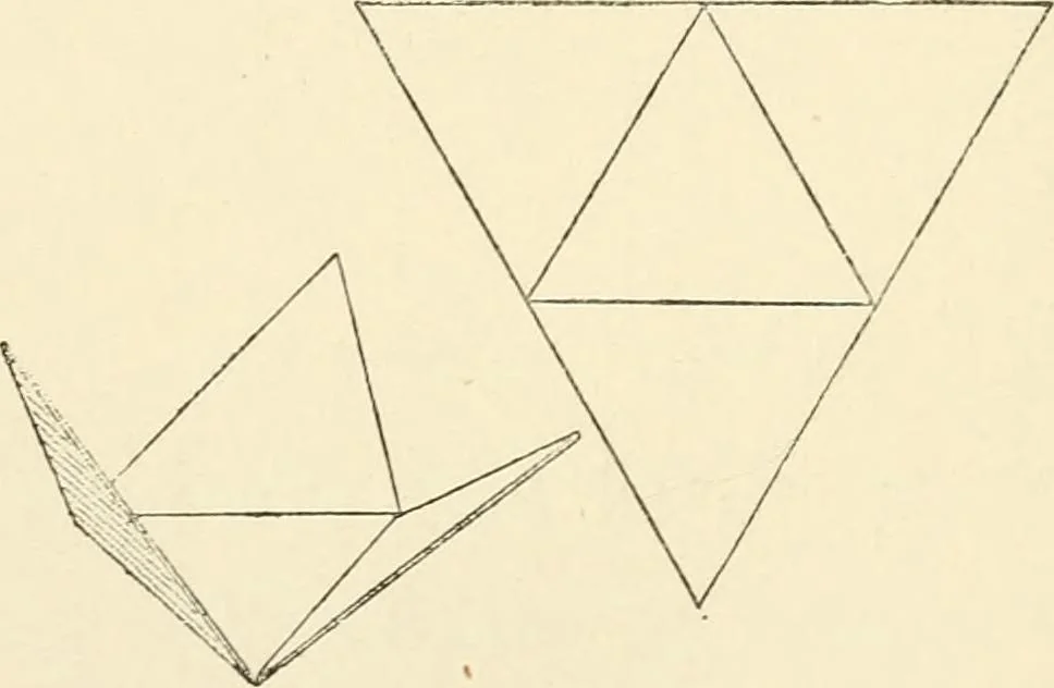 An illustration from Histoire d'un dessinateur, comment on apprend à dessiner;, 1879, leaf 47