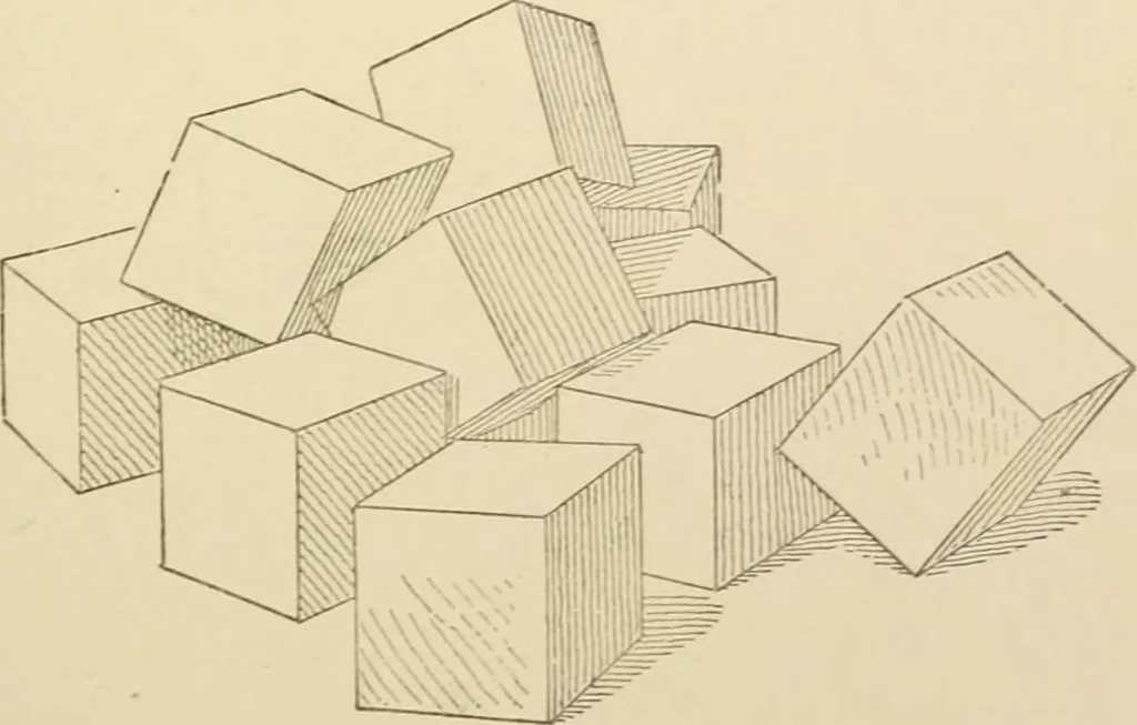 An illustration from Histoire d'un dessinateur, comment on apprend à dessiner;, 1879, leaf 50