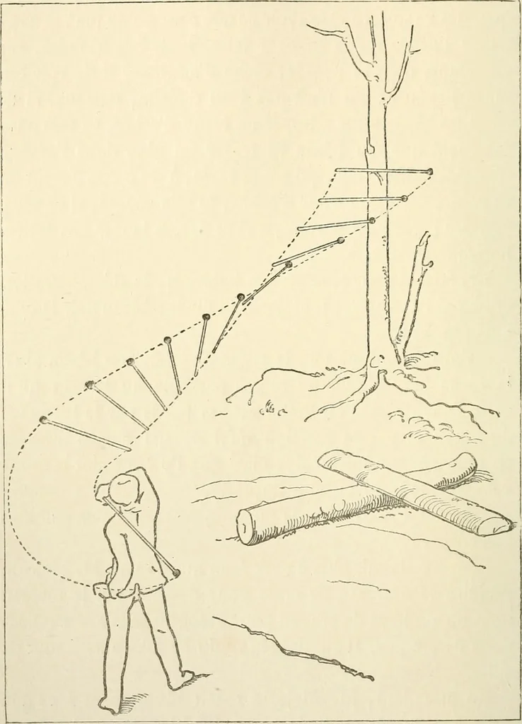 An illustration from Histoire d'un dessinateur, comment on apprend à dessiner;, 1879, leaf 65