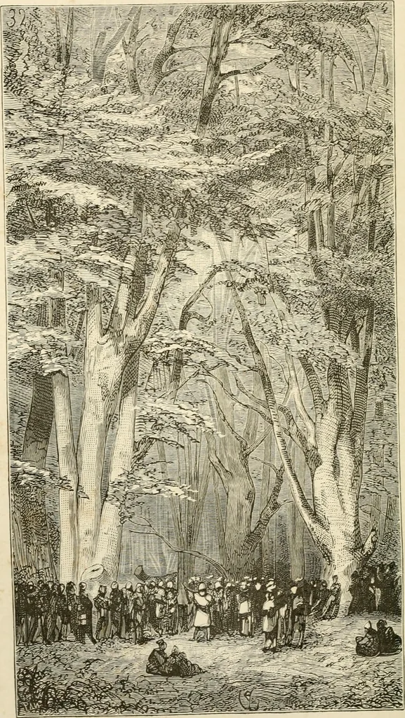 An illustration from Histoire d'un hôtel de ville et d'une cathédrale;, 1878, leaf 188