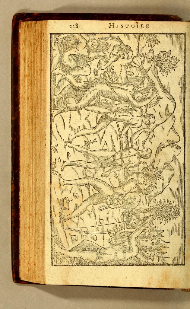 An illustration from Histoire d'un voyage faict en la terre du Bresil, autrement dite Amerique. : Contenant la nauigation, & choses remarquables, veuës sur mer par l'auteur. Le comportement de Villegagnon en ce pays-la. Les moeurs & façons de viure estranges des sauuages bresiliens: auec vn colloque de leur langage. Ensemble la description de plusieurs animaux, arbres, herbes, & autres choses singulieres, & du tout inconnues par-deçà: dont on verra les sommaires des chapitres au commencement du liure., 1585, leaf 298