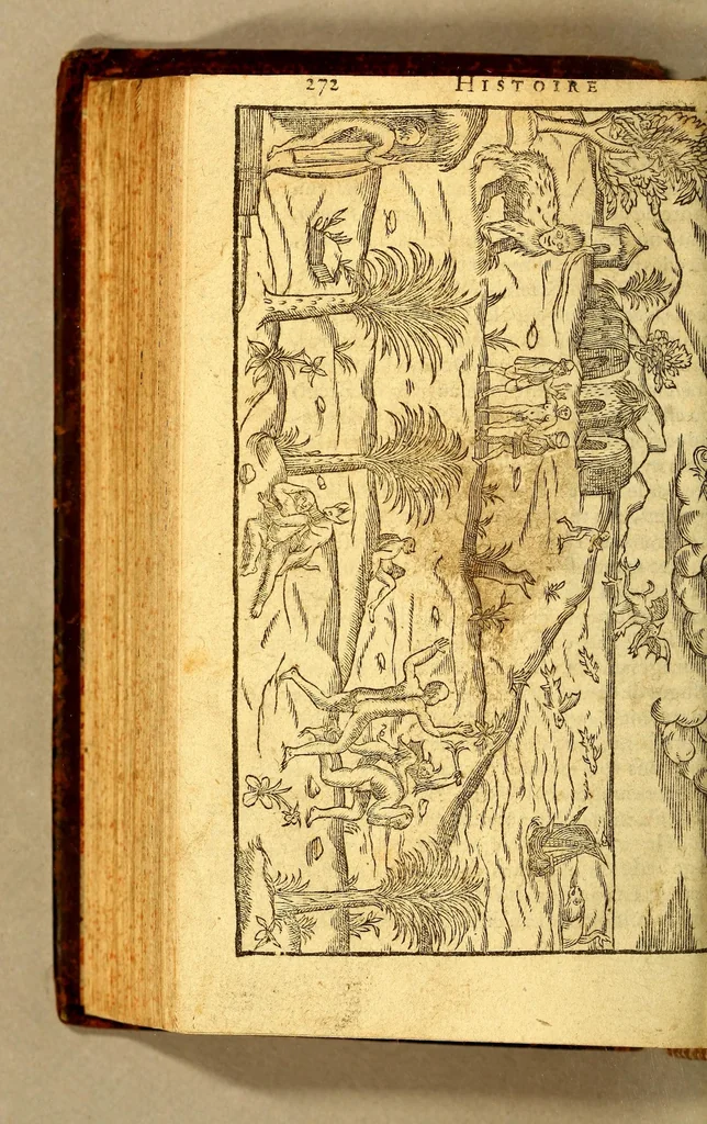 An illustration from Histoire d'un voyage faict en la terre du Bresil, autrement dite Amerique. : Contenant la nauigation, & choses remarquables, veuës sur mer par l'auteur. Le comportement de Villegagnon en ce pays-la. Les moeurs & façons de viure estranges des sauuages bresiliens: auec vn colloque de leur langage. Ensemble la description de plusieurs animaux, arbres, herbes, & autres choses singulieres, & du tout inconnues par-deçà: dont on verra les sommaires des chapitres au commencement du liure., 1585, leaf 342