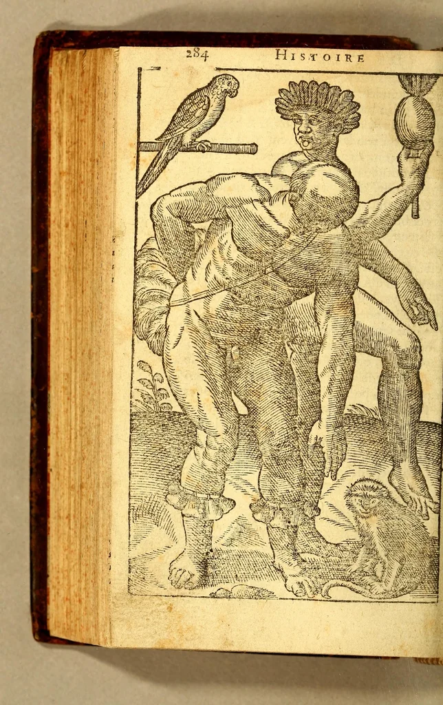 An illustration from Histoire d'un voyage faict en la terre du Bresil, autrement dite Amerique. : Contenant la nauigation, & choses remarquables, veuës sur mer par l'auteur. Le comportement de Villegagnon en ce pays-la. Les moeurs & façons de viure estranges des sauuages bresiliens: auec vn colloque de leur langage. Ensemble la description de plusieurs animaux, arbres, herbes, & autres choses singulieres, & du tout inconnues par-deçà: dont on verra les sommaires des chapitres au commencement du liure., 1585, leaf 354