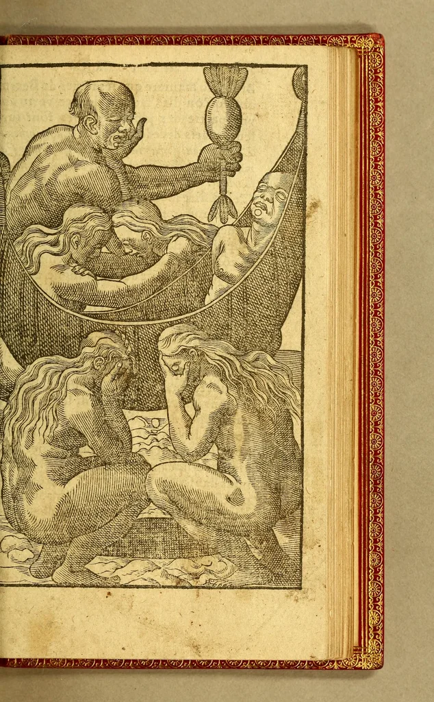 An illustration from Histoire d'un voyage fait en la terre du Bresil, autrement dite Amerique. : Contenant la nauigation, & choses remarquables, veuës sur mer par l'aucteur: le comportement de Villegagnon, en ce païs là. Les meurs [sic] & façons de viure estranges des sauuages ameriquains: auec vn colloque de leur langage. Ensemble la description de plusieurs animaux, arbres, herbes, & autres choses singulieres, & du tout inconues par deça, dont on verra les sommaires des chapitres au commencement du liure. Non encores mis en lumiere, pour les causes contenues en la preface., 1578, leaf 389