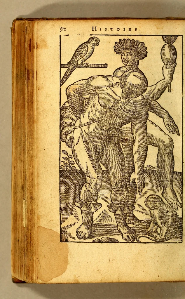 An illustration from Histoire d'un voyage fait en la terre du Bresil, dite Amerique. : Contenant la nauigation, & choses remarquables, veuës sur mer par l'autheur. Le comportement de Villegagnon en ce païs la. Les moeurs & façons de viure estranges des sauuages bresiliens: auec vn colloque de leur langage. Ensemble la description de plusieurs animaux, poissons, diformes, arbres, herbes, fruicts, racines, & autres choses singulieres, & du tout incognues par deçà: dont on verra les sommaires des chapitres au commencement du liure. Auec les figures, reueue, corrigee & bien augmentee par l'autheur., 1600, leaf 390