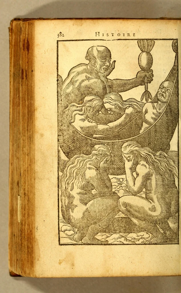 An illustration from Histoire d'un voyage fait en la terre du Bresil, dite Amerique. : Contenant la nauigation, & choses remarquables, veuës sur mer par l'autheur. Le comportement de Villegagnon en ce païs la. Les moeurs & façons de viure estranges des sauuages bresiliens: auec vn colloque de leur langage. Ensemble la description de plusieurs animaux, poissons, diformes, arbres, herbes, fruicts, racines, & autres choses singulieres, & du tout incognues par deçà: dont on verra les sommaires des chapitres au commencement du liure. Auec les figures, reueue, corrigee & bien augmentee par l'autheur., 1600, leaf 460
