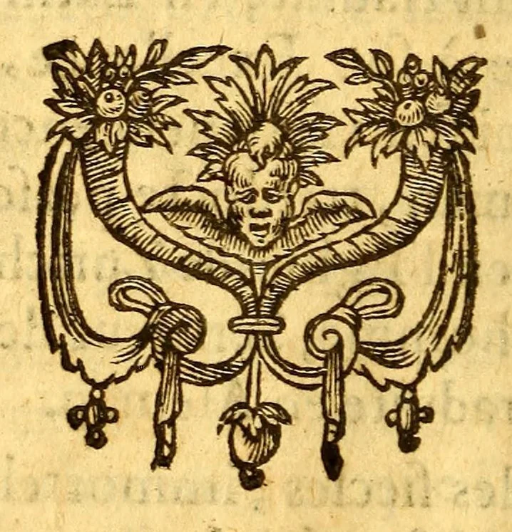 An illustration from Histoire d'un voyage fait en la terre du Bresil, dite Amerique. : Contenant la nauigation, & choses remarquables, veuës sur mer par l'autheur. Le comportement de Villegagnon en ce païs la. Les moeurs & façons de viure estranges des sauuages bresiliens: auec vn colloque de leur langage. Ensemble la description de plusieurs animaux, poissons, diformes, arbres, herbes, fruicts, racines, & autres choses singulieres, & du tout incognues par deçà: dont on verra les sommaires des chapitres au commencement du liure. Auec les figures, reueue, corrigee & bien augmentee par l'autheur., 1600, leaf 556