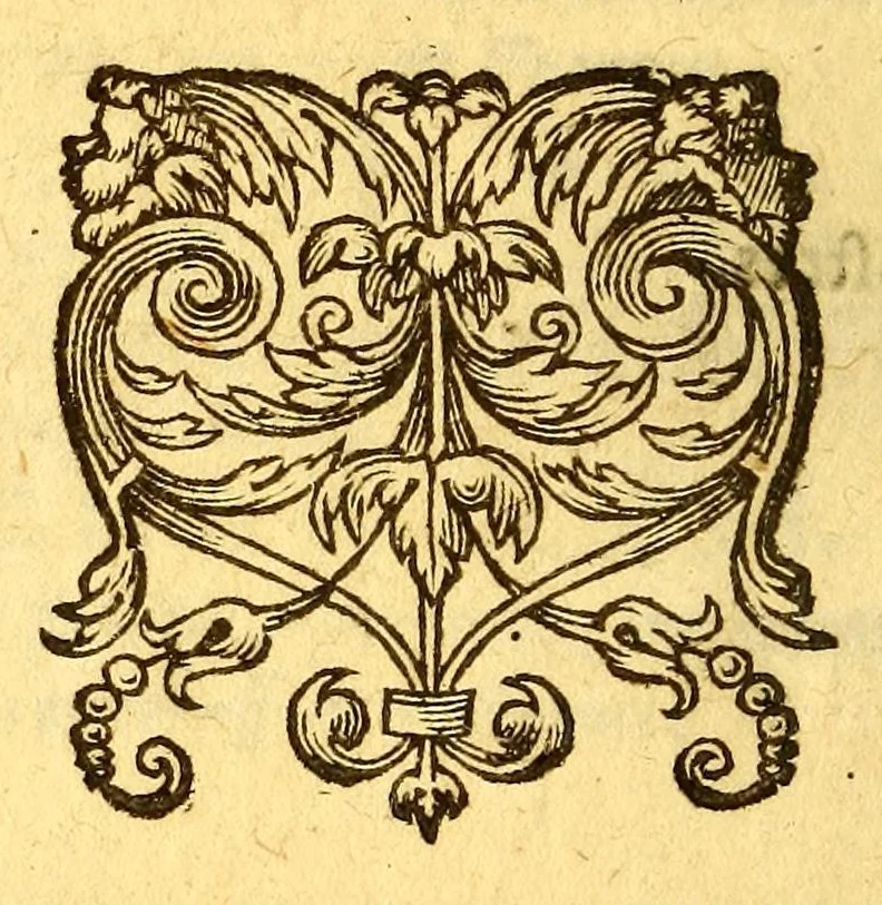 An illustration from Histoire d'un voyage fait en la terre du Bresil, dite Amerique. : Contenant la nauigation, & choses remarquables, veuës sur mer par l'autheur. Le comportement de Villegagnon en ce païs la. Les moeurs & façons de viure estranges des sauuages bresiliens: auec vn colloque de leur langage. Ensemble la description de plusieurs animaux, poissons, diformes, arbres, herbes, fruicts, racines, & autres choses singulieres, & du tout incognues par deçà: dont on verra les sommaires des chapitres au commencement du liure. Auec les figures, reueue, corrigee & bien augmentee par l'autheur., 1600, leaf 76