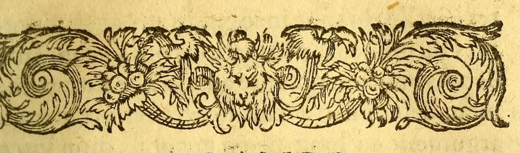 An illustration from Histoire d'un voyage fait en la terre du Bresil, dite Amerique. : Contenant la nauigation, & choses remarquables, veuës sur mer par l'autheur. Le comportement de Villegagnon en ce païs la. Les moeurs & façons de viure estranges des sauuages bresiliens: auec vn colloque de leur langage. Ensemble la description de plusieurs animaux, poissons, diformes, arbres, herbes, fruicts, racines, & autres choses singulieres, & du tout incognues par deçà: dont on verra les sommaires des chapitres au commencement du liure. Auec les figures, reueue, corrigee & bien augmentee par l'autheur., 1600, leaf 77