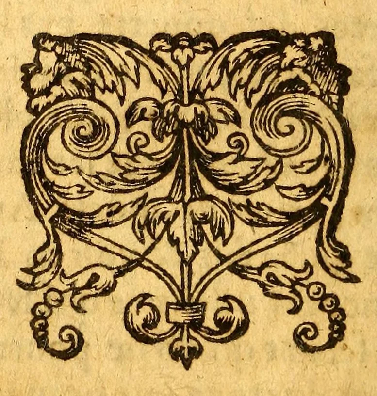 An illustration from Histoire d'un voyage fait en la terre du Bresil, dite Amerique. : Contenant la nauigation, & choses remarquables, veuës sur mer par l'autheur. Le comportement de Villegagnon en ce païs la. Les moeurs & façons de viure estranges des sauuages bresiliens: auec vn colloque de leur langage. Ensemble la description de plusieurs animaux, poissons, diformes, arbres, herbes, fruicts, racines, & autres choses singulieres, & du tout incognues par deçà: dont on verra les sommaires des chapitres au commencement du liure. Auec les figures, reueue, corrigee & bien augmentee par l'autheur., 1600, leaf 8