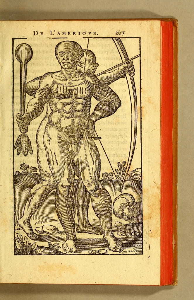 An illustration from Histoire d'un voyage fait en la terre du Bresil, autrement dite Amerique. : Contenant la nauigation, & choses remarquables veues sur mer par l'autheur. Le comportement de Villegagnon en ce pays là. Les moeurs & façons de viure estranges des sauuages ameriquains: auec vn colloque de leur langage. Ensemble la description de plusieurs animaux, arbres, herbes, & autres choses singulieres, & du tout inconues par deça: dont on verra les sommaires des chapitres au co[m]mencement du liure., 1594, leaf 255