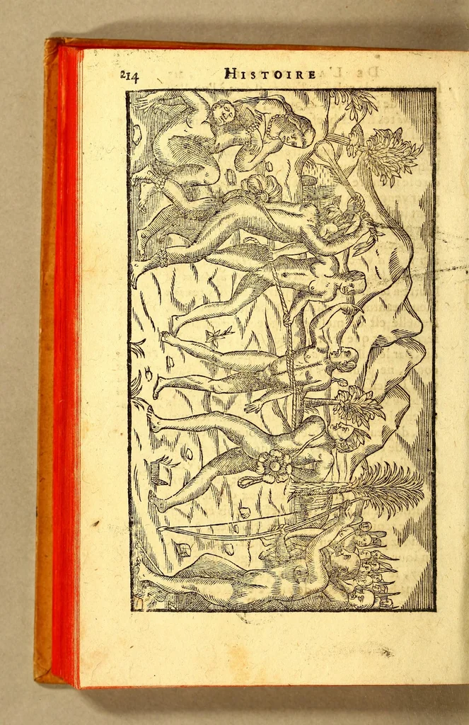 An illustration from Histoire d'un voyage fait en la terre du Bresil, autrement dite Amerique. : Contenant la nauigation, & choses remarquables veues sur mer par l'autheur. Le comportement de Villegagnon en ce pays là. Les moeurs & façons de viure estranges des sauuages ameriquains: auec vn colloque de leur langage. Ensemble la description de plusieurs animaux, arbres, herbes, & autres choses singulieres, & du tout inconues par deça: dont on verra les sommaires des chapitres au co[m]mencement du liure., 1594, leaf 262