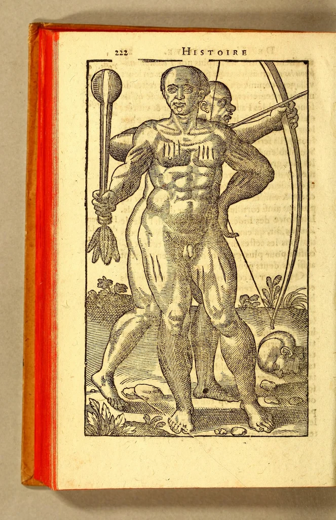 An illustration from Histoire d'un voyage fait en la terre du Bresil, autrement dite Amerique. : Contenant la nauigation, & choses remarquables veues sur mer par l'autheur. Le comportement de Villegagnon en ce pays là. Les moeurs & façons de viure estranges des sauuages ameriquains: auec vn colloque de leur langage. Ensemble la description de plusieurs animaux, arbres, herbes, & autres choses singulieres, & du tout inconues par deça: dont on verra les sommaires des chapitres au co[m]mencement du liure., 1594, leaf 270