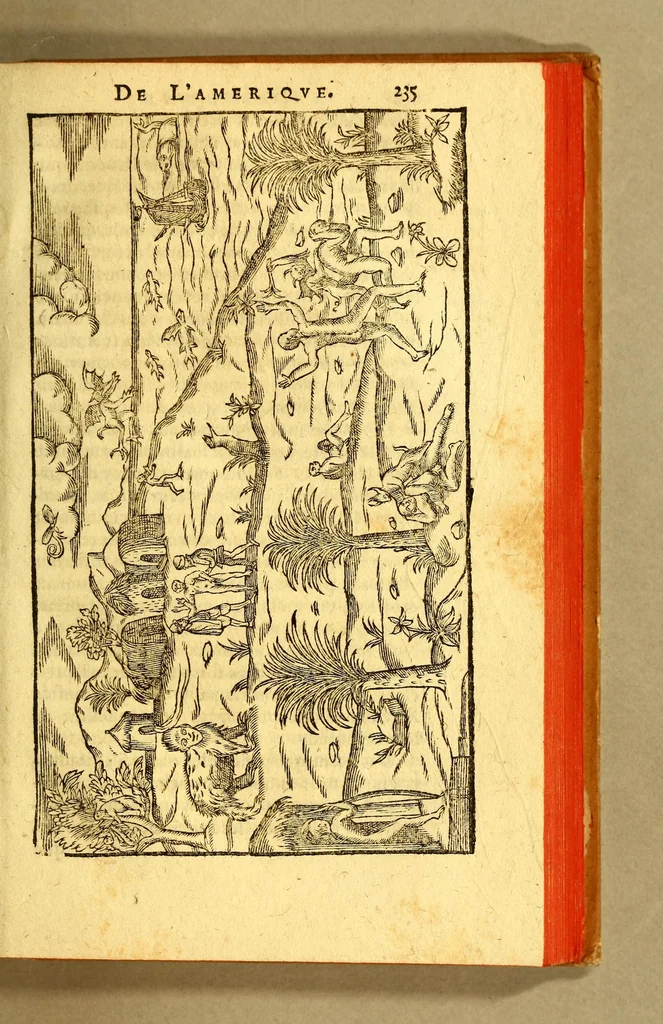An illustration from Histoire d'un voyage fait en la terre du Bresil, autrement dite Amerique. : Contenant la nauigation, & choses remarquables veues sur mer par l'autheur. Le comportement de Villegagnon en ce pays là. Les moeurs & façons de viure estranges des sauuages ameriquains: auec vn colloque de leur langage. Ensemble la description de plusieurs animaux, arbres, herbes, & autres choses singulieres, & du tout inconues par deça: dont on verra les sommaires des chapitres au co[m]mencement du liure., 1594, leaf 283