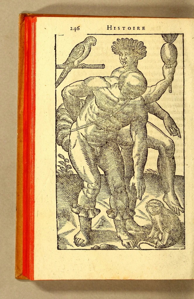 An illustration from Histoire d'un voyage fait en la terre du Bresil, autrement dite Amerique. : Contenant la nauigation, & choses remarquables veues sur mer par l'autheur. Le comportement de Villegagnon en ce pays là. Les moeurs & façons de viure estranges des sauuages ameriquains: auec vn colloque de leur langage. Ensemble la description de plusieurs animaux, arbres, herbes, & autres choses singulieres, & du tout inconues par deça: dont on verra les sommaires des chapitres au co[m]mencement du liure., 1594, leaf 294