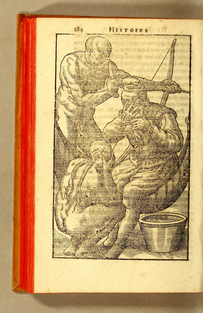 An illustration from Histoire d'un voyage fait en la terre du Bresil, autrement dite Amerique. : Contenant la nauigation, & choses remarquables veues sur mer par l'autheur. Le comportement de Villegagnon en ce pays là. Les moeurs & façons de viure estranges des sauuages ameriquains: auec vn colloque de leur langage. Ensemble la description de plusieurs animaux, arbres, herbes, & autres choses singulieres, & du tout inconues par deça: dont on verra les sommaires des chapitres au co[m]mencement du liure., 1594, leaf 332