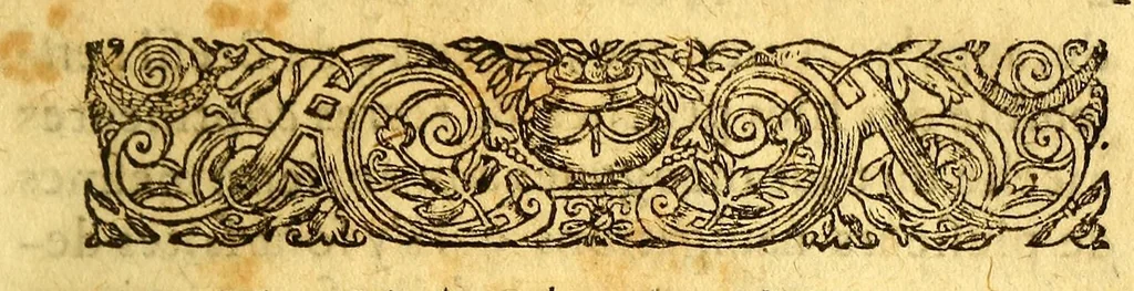 An illustration from Histoire d'un voyage fait en la terre du Bresil, autrement dite Amerique. : Contenant la nauigation, & choses remarquables veues sur mer par l'autheur. Le comportement de Villegagnon en ce pays là. Les moeurs & façons de viure estranges des sauuages ameriquains: auec vn colloque de leur langage. Ensemble la description de plusieurs animaux, arbres, herbes, & autres choses singulieres, & du tout inconues par deça: dont on verra les sommaires des chapitres au co[m]mencement du liure., 1594, leaf 47