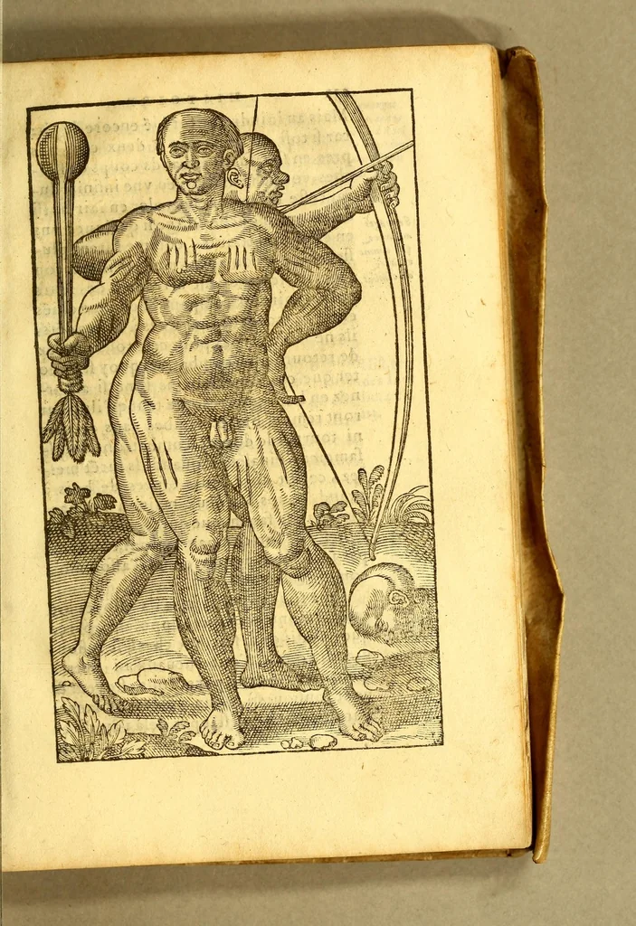 An illustration from Histoire d'un voyage fait en la terre du Bresil, autrement dite Amerique. : Contenant la nauigation, & choses remarquables, veuës sur mer par l'aucteur: le comportement de Villegagnon, en ce païs là. Les meurs [sic] & façons de viure estranges des sauuages ameriquains: auec vn colloque de leur langage. Ensemble la description de plusieurs animaux, arbres, herbes, & autres choses singulieres, & du tout inconues par deça, dont on verra les sommaires des chapitres au commencement du liure. Non encores mis en lumiere, pour les causes contenues en la preface., 1578, leaf 283
