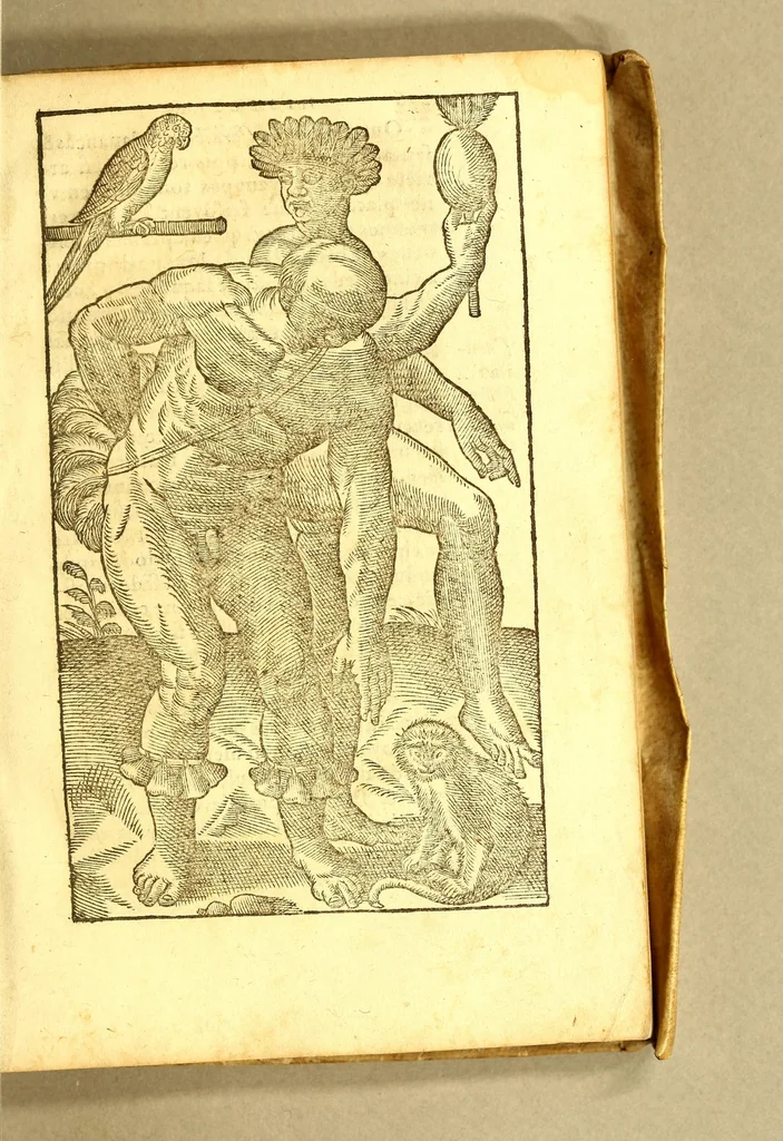 An illustration from Histoire d'un voyage fait en la terre du Bresil, autrement dite Amerique. : Contenant la nauigation, & choses remarquables, veuës sur mer par l'aucteur: le comportement de Villegagnon, en ce païs là. Les meurs [sic] & façons de viure estranges des sauuages ameriquains: auec vn colloque de leur langage. Ensemble la description de plusieurs animaux, arbres, herbes, & autres choses singulieres, & du tout inconues par deça, dont on verra les sommaires des chapitres au commencement du liure. Non encores mis en lumiere, pour les causes contenues en la preface., 1578, leaf 327