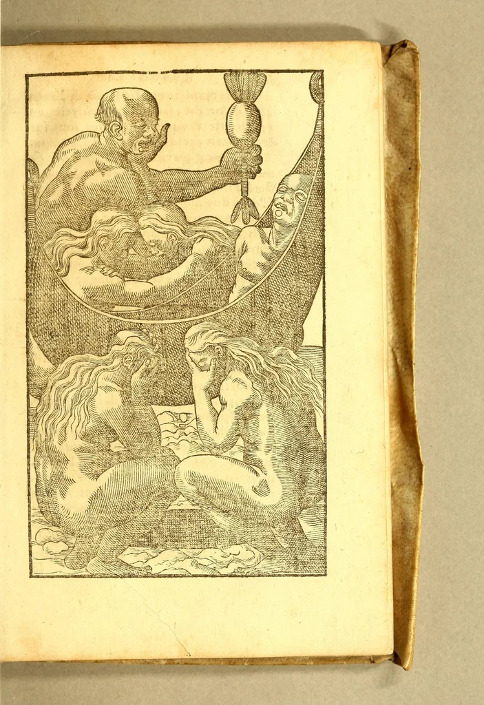 An illustration from Histoire d'un voyage fait en la terre du Bresil, autrement dite Amerique. : Contenant la nauigation, & choses remarquables, veuës sur mer par l'aucteur: le comportement de Villegagnon, en ce païs là. Les meurs [sic] & façons de viure estranges des sauuages ameriquains: auec vn colloque de leur langage. Ensemble la description de plusieurs animaux, arbres, herbes, & autres choses singulieres, & du tout inconues par deça, dont on verra les sommaires des chapitres au commencement du liure. Non encores mis en lumiere, pour les causes contenues en la preface., 1578, leaf 387