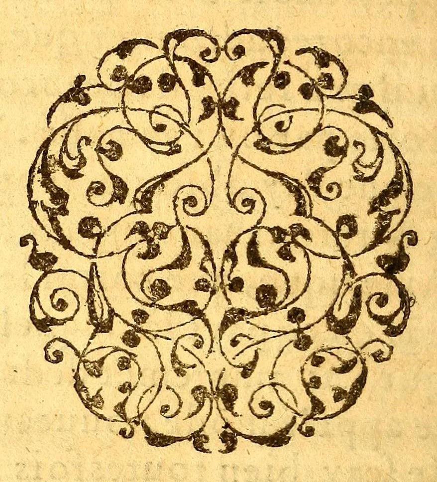 An illustration from Histoire d'un voyage fait en la terre du Bresil, autrement dite Amerique. : Contenant la nauigation, & choses remarquables, veuës sur mer par l'aucteur: le comportement de Villegagnon, en ce païs là. Les meurs [sic] & façons de viure estranges des sauuages ameriquains: auec vn colloque de leur langage. Ensemble la description de plusieurs animaux, arbres, herbes, & autres choses singulieres, & du tout inconues par deça, dont on verra les sommaires des chapitres au commencement du liure. Non encores mis en lumiere, pour les causes contenues en la preface., 1578, leaf 476