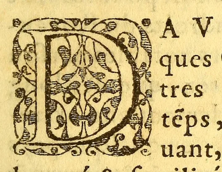 An illustration from Histoire d'un voyage fait en la terre du Bresil, autrement dite Amerique. : Contenant la nauigation, & choses remarquables, veuës sur mer par l'aucteur: le comportement de Villegagnon, en ce païs là. Les meurs [sic] & façons de viure estranges des sauuages ameriquains: auec vn colloque de leur langage. Ensemble la description de plusieurs animaux, arbres, herbes, & autres choses singulieres, & du tout inconues par deça, dont on verra les sommaires des chapitres au commencement du liure. Non encores mis en lumiere, pour les causes contenues en la preface., 1578, leaf 53
