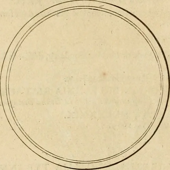 An illustration from Histoire du roy Louis le Grand, par les medailles, emblêmes, deuises, jettons, inscriptions, armoiries, et autres monumens publics, 1691, leaf 88