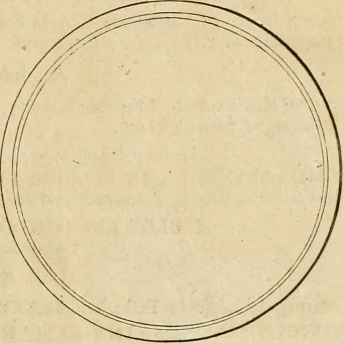 An illustration from Histoire du roy Louis le Grand, par les medailles, emblêmes, deuises, jettons, inscriptions, armoiries, et autres monumens publics, 1691, leaf 88