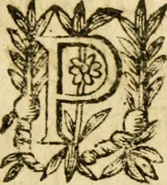 An illustration from Histoire du siege d'Orleans, et de la Pucelle Ieane, 1631, leaf 128