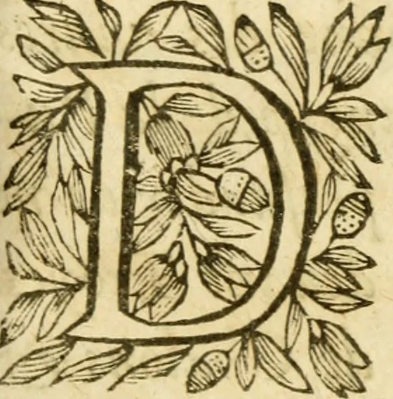 An illustration from Histoire du siege d'Orleans, et de la Pucelle Ieane, 1631, leaf 232