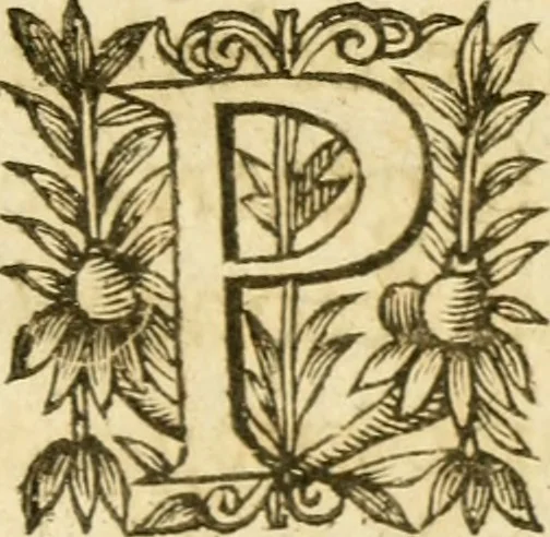 An illustration from Histoire du siege d'Orleans, et de la Pucelle Ieane, 1631, leaf 236