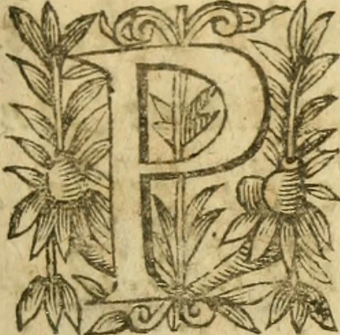 An illustration from Histoire du siege d'Orleans, et de la Pucelle Ieane, 1631, leaf 26