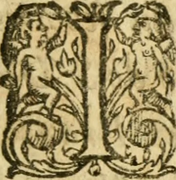 An illustration from Histoire du siege d'Orleans, et de la Pucelle Ieane, 1631, leaf 28