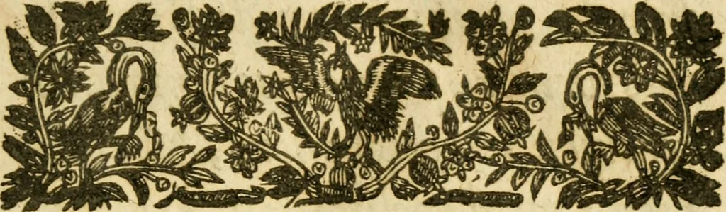 An illustration from Histoire du siege d'Orleans, et de la Pucelle Ieane, 1631, leaf 8