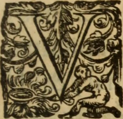 An illustration from Histoire dv chevalier Bayard, lievtenant general povr le Roy av govvernement de Daulphiné, et de plvsievrs choses memorables advenves en France, Italie, Espagne, & és Pays bas, du regne des roys Charles VIII, Louys XII, & François I. depuis l'an 1489, iusques à 1524, 1616, leaf 106