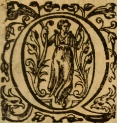 An illustration from Histoire dv chevalier Bayard, lievtenant general povr le Roy av govvernement de Daulphiné, et de plvsievrs choses memorables advenves en France, Italie, Espagne, & és Pays bas, du regne des roys Charles VIII, Louys XII, & François I. depuis l'an 1489, iusques à 1524, 1616, leaf 114