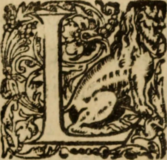An illustration from Histoire dv chevalier Bayard, lievtenant general povr le Roy av govvernement de Daulphiné, et de plvsievrs choses memorables advenves en France, Italie, Espagne, & és Pays bas, du regne des roys Charles VIII, Louys XII, & François I. depuis l'an 1489, iusques à 1524, 1616, leaf 13