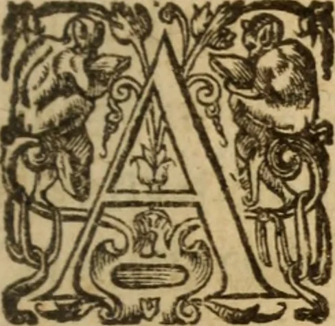 An illustration from Histoire dv chevalier Bayard, lievtenant general povr le Roy av govvernement de Daulphiné, et de plvsievrs choses memorables advenves en France, Italie, Espagne, & és Pays bas, du regne des roys Charles VIII, Louys XII, & François I. depuis l'an 1489, iusques à 1524, 1616, leaf 134