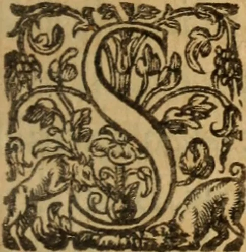 An illustration from Histoire dv chevalier Bayard, lievtenant general povr le Roy av govvernement de Daulphiné, et de plvsievrs choses memorables advenves en France, Italie, Espagne, & és Pays bas, du regne des roys Charles VIII, Louys XII, & François I. depuis l'an 1489, iusques à 1524, 1616, leaf 150