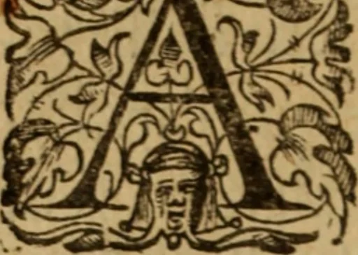 An illustration from Histoire dv chevalier Bayard, lievtenant general povr le Roy av govvernement de Daulphiné, et de plvsievrs choses memorables advenves en France, Italie, Espagne, & és Pays bas, du regne des roys Charles VIII, Louys XII, & François I. depuis l'an 1489, iusques à 1524, 1616, leaf 167