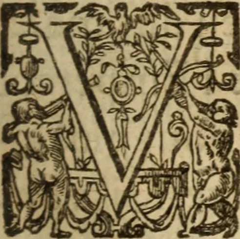 An illustration from Histoire dv chevalier Bayard, lievtenant general povr le Roy av govvernement de Daulphiné, et de plvsievrs choses memorables advenves en France, Italie, Espagne, & és Pays bas, du regne des roys Charles VIII, Louys XII, & François I. depuis l'an 1489, iusques à 1524, 1616, leaf 188